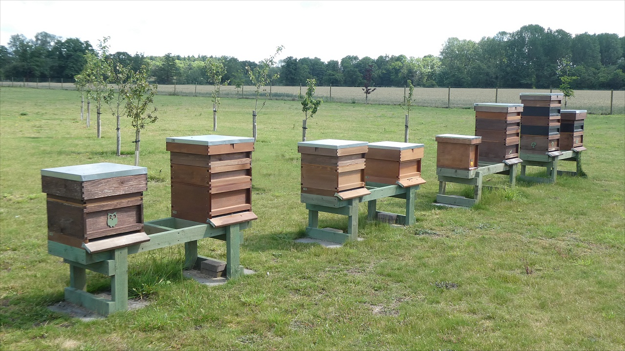 Hives in Summer